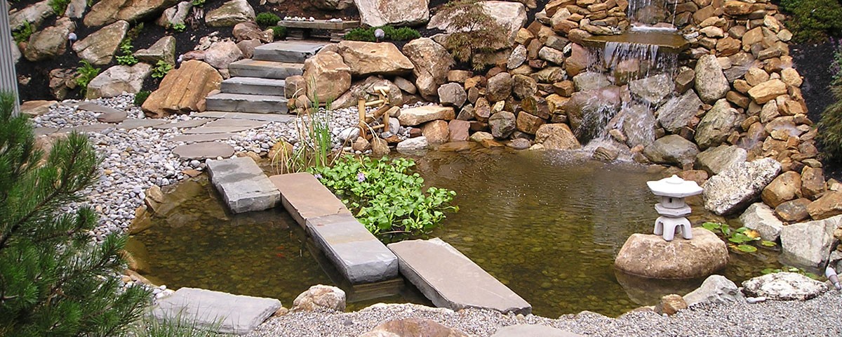 aquascape9