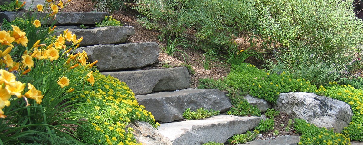 plantscape-design2